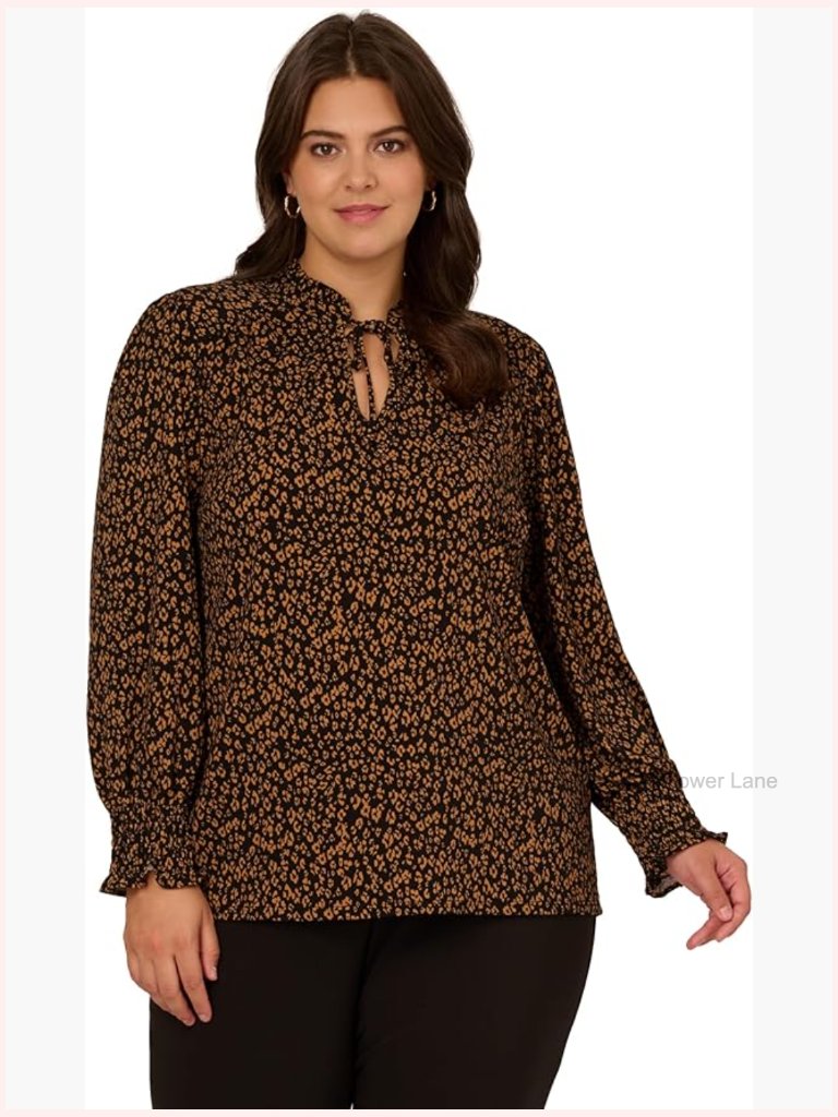 Ruffle Tieneck Long Sleeve Top Blouse Tie Neck Peasant Top Pull On